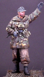 16003b.jpg