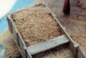 realgrass03 